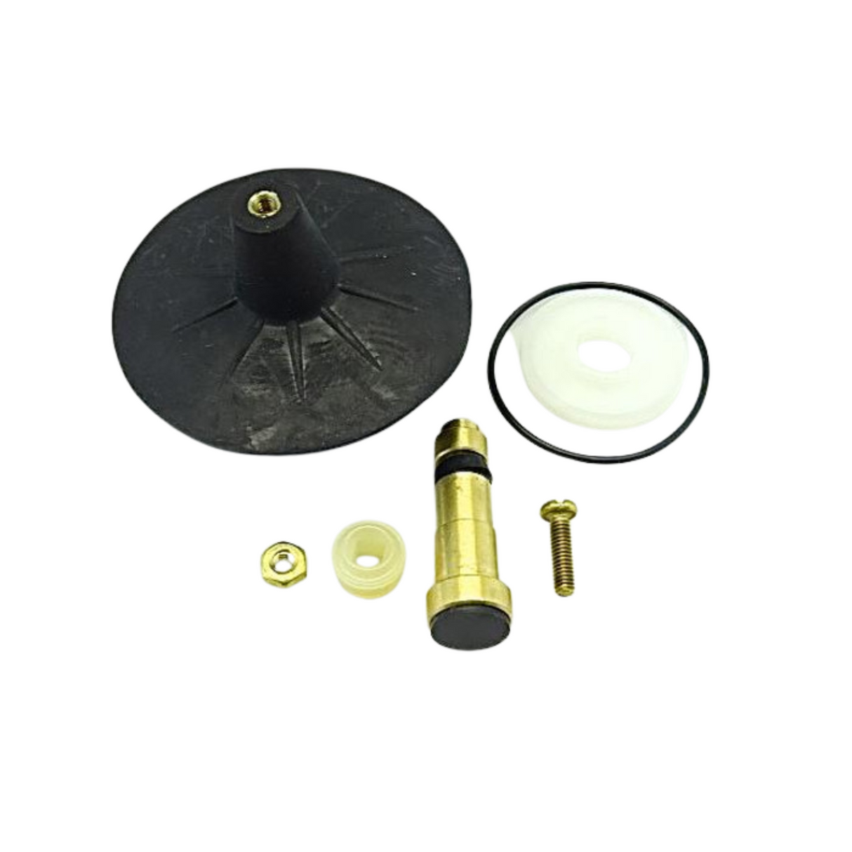 Plunger Flapper Assembly